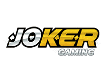 different kinds of sudoku
